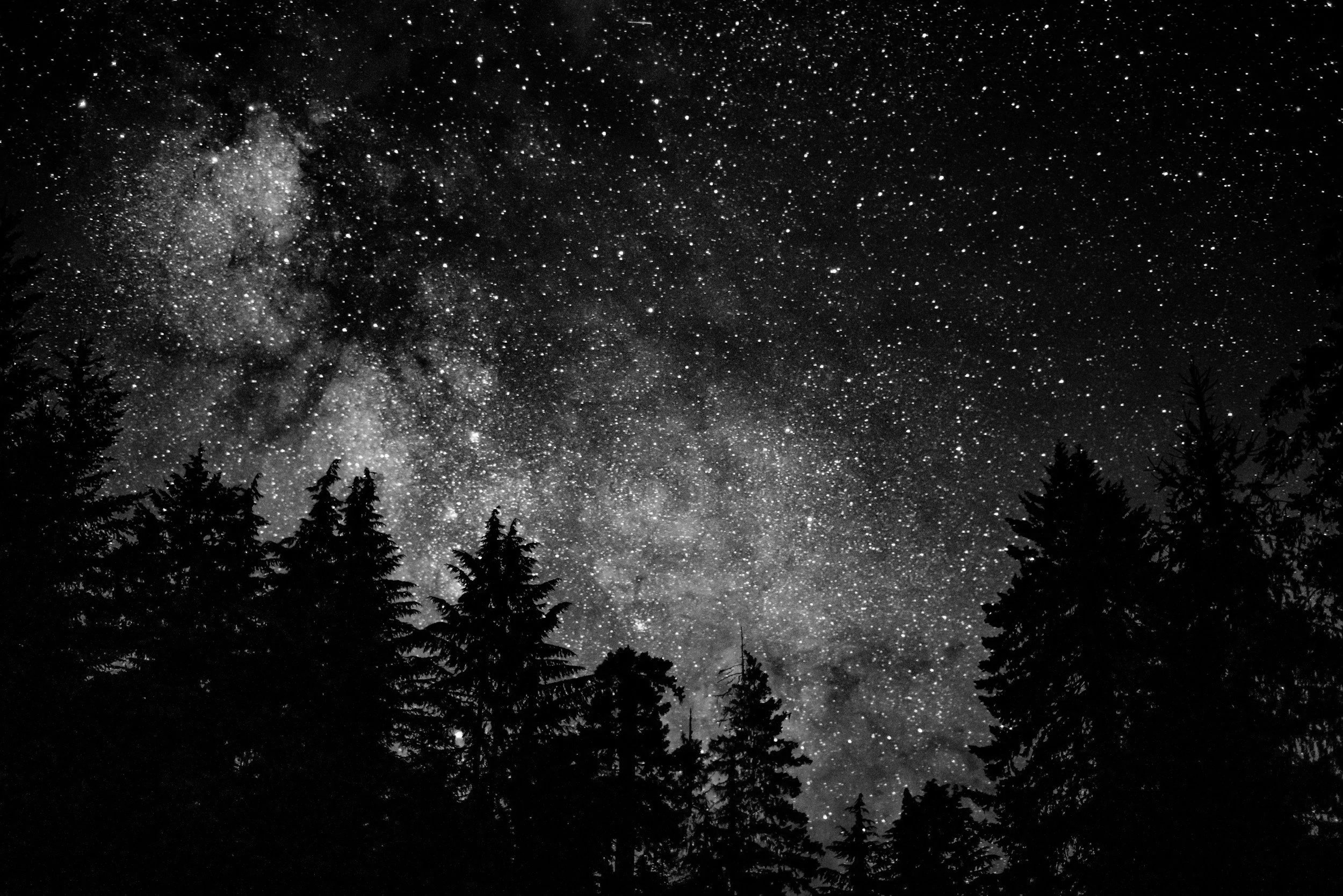 Starry night sky representing astrology, wonder and self-reflection