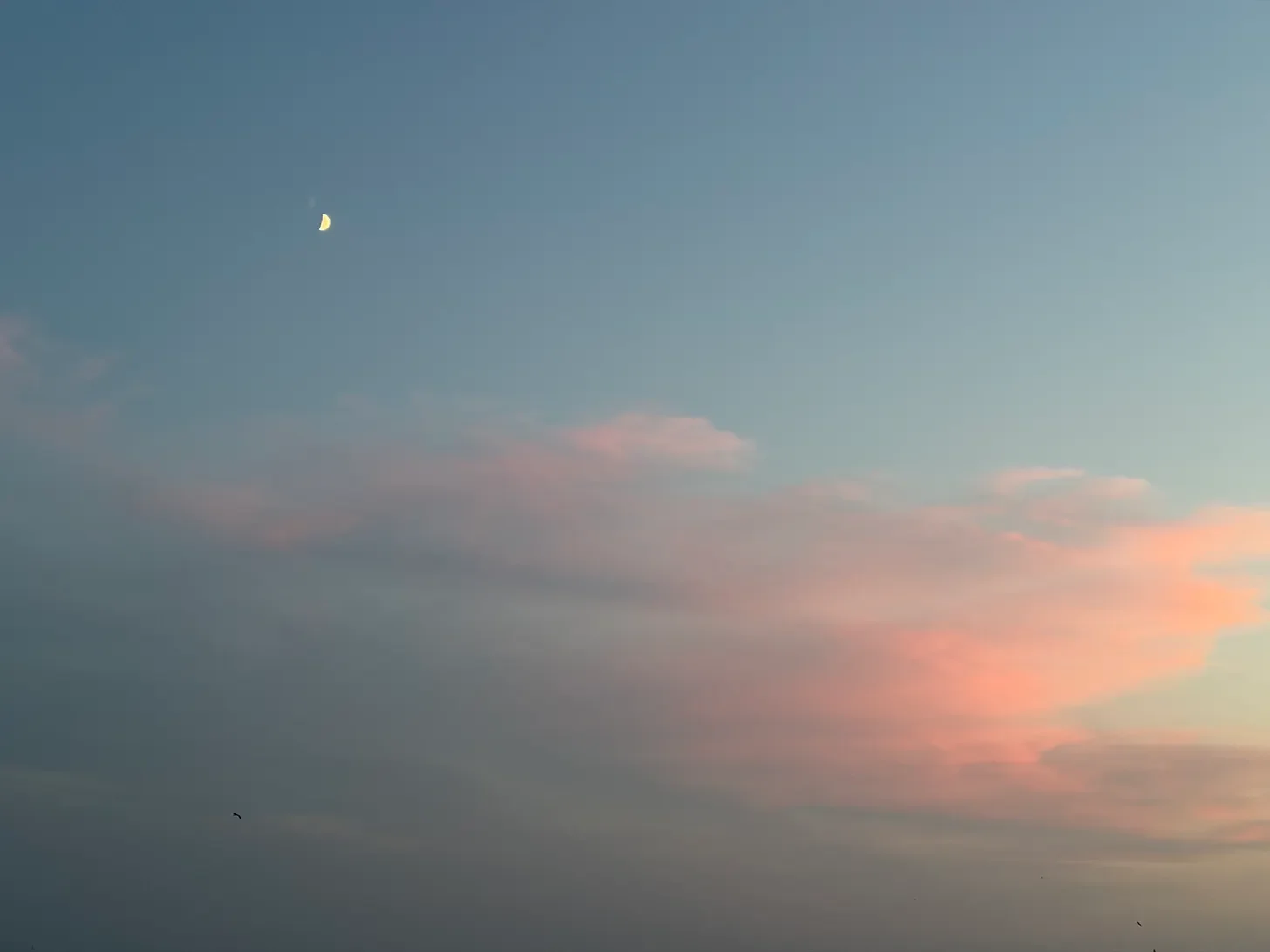 Small crescent moon above soft pink clouds at dusk, representing reflection, possibility and a new lunar cycle.