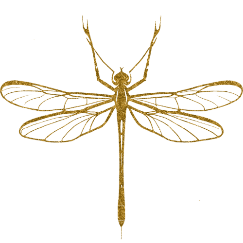 Dragonfly symbol representing freedom, transformation, perspective and change