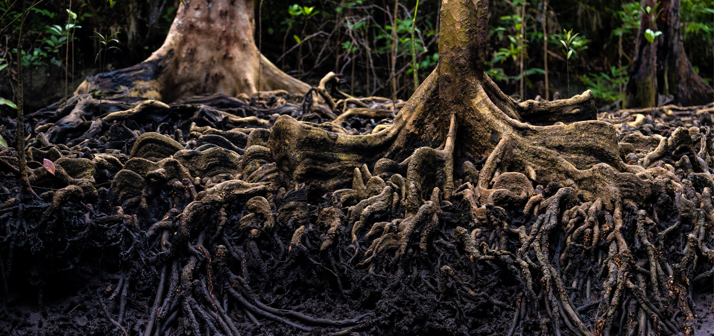 TRUTH AS TEMPLE //
I honour truth as a living, evolving presence — not to be possessed, but to be tended like a flame.