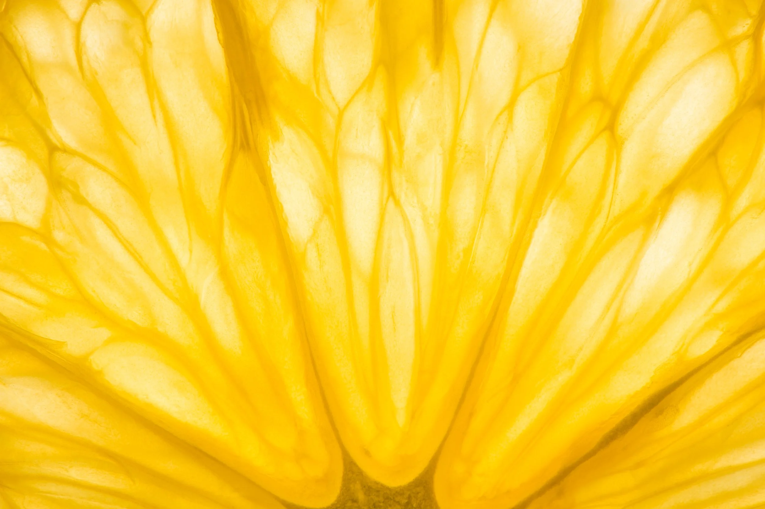 iStock-175000508.jpg