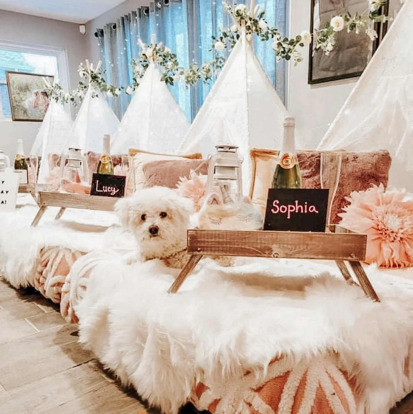 Pricing — Jubilee Tents