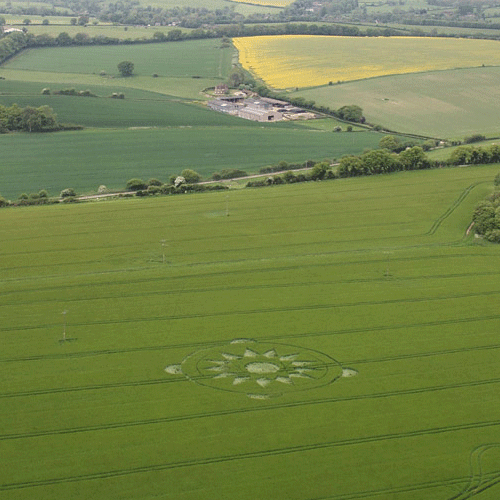 Photo of a crop circle at Beech Hill, Manton