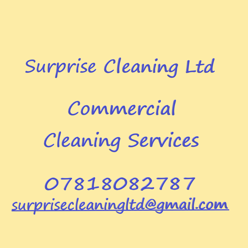 SURPRISE CLEANING LTD