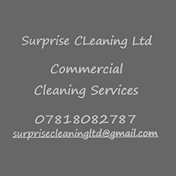 SURPRISE CLEANING LTD