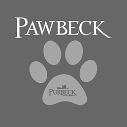 PAWBECK - ICE CREAM FOR DOGS!