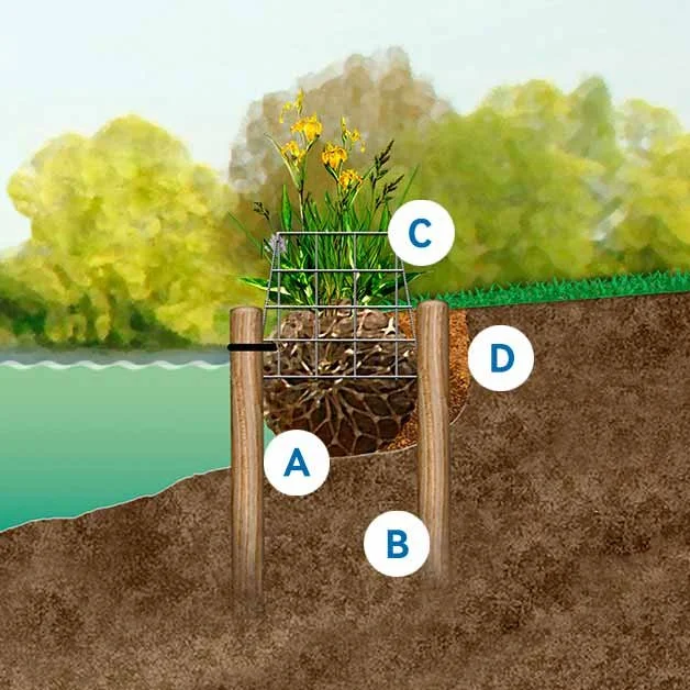 Coir Rolls for Ponds and Rivers — A.G.A. Group