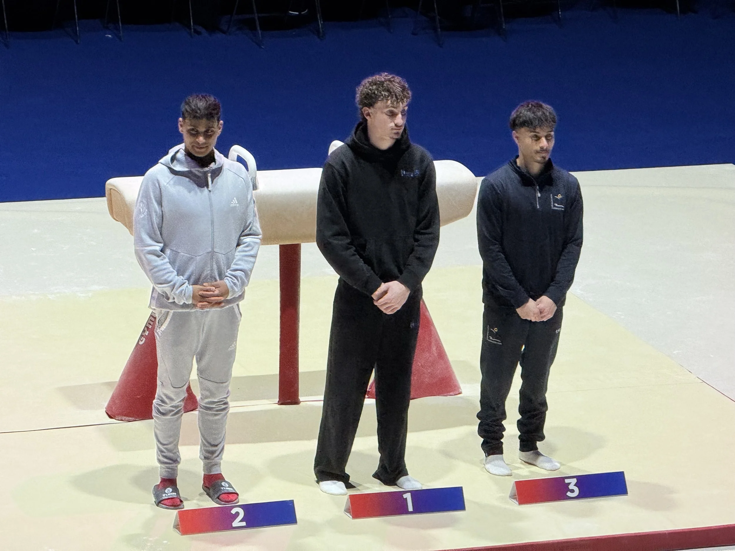 Rueben Ward wins Max Whitlock-less British Pommel Horse Final