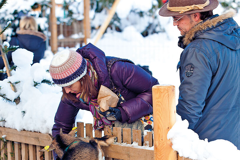 advent-am-wolfgangsee-tiere.jpg