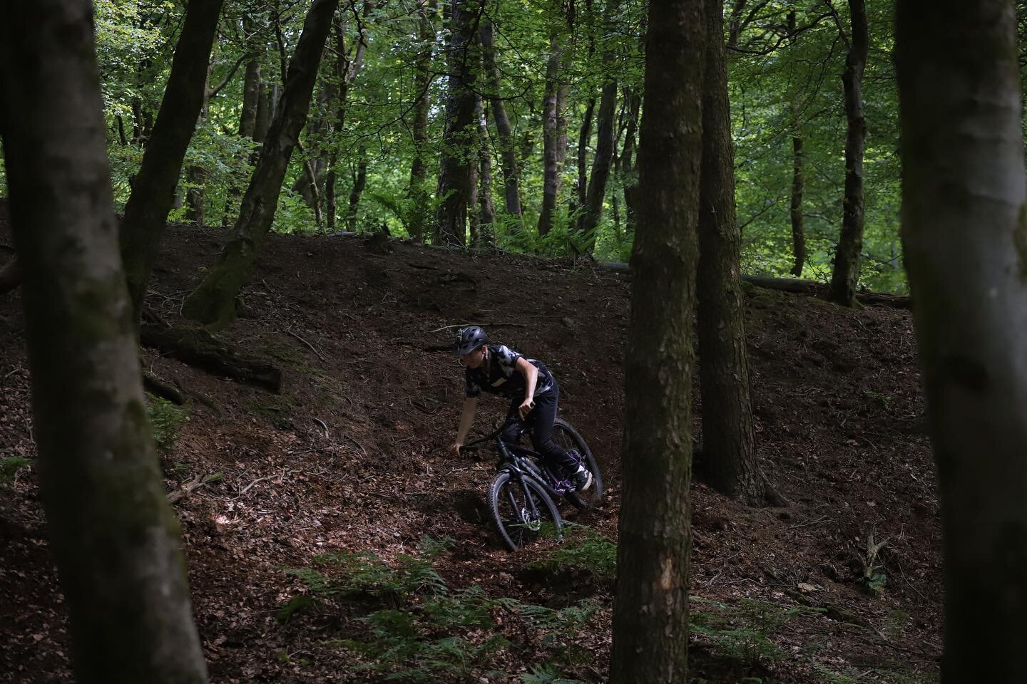 @tomnorthhh shredding the local 🤘🏻
.
.
#mtbphotography#canon6d #cannondale #mtbphotography #mtbphotos #ridecannondale#gupordie #mtblove #50to01 #mtb #mountainbiker #downhillmtb #mountainbike #freeridemtb#mountainbikes#mtblifestyle#mountainbiking#dh