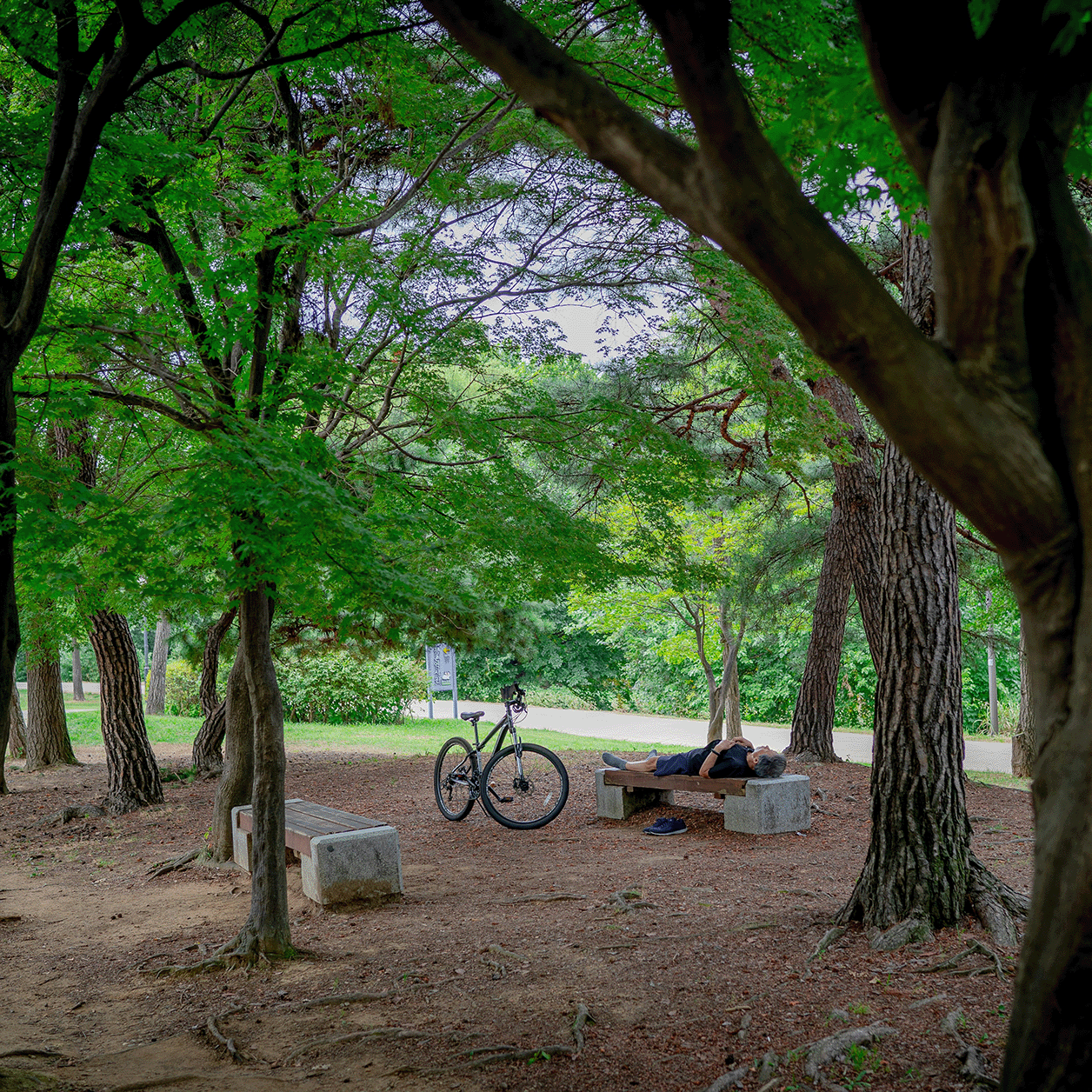 Taking Stock of Lament, and Hope: A Guided Examen "Pit Stop" for Lent 2026