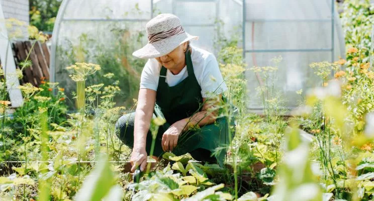 Gardening in Retirement: A Hobby Worth Digging Into