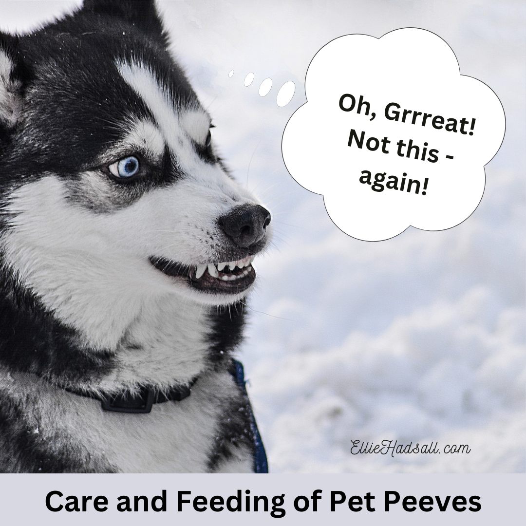 Don’t Overfeed Your Pet Peeve