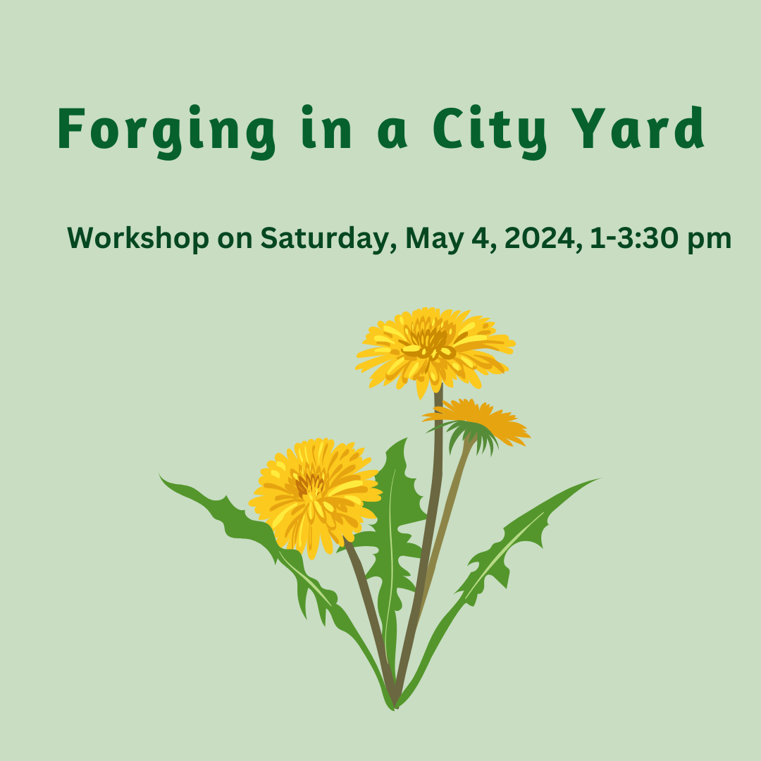 Foraging in a City Yard