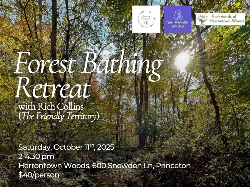 Forest Bathing Retreat