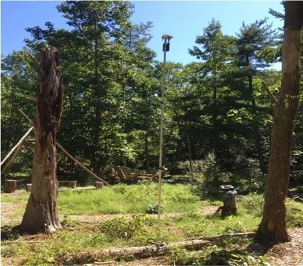 Walk with Nature- Keeping an Eye on Weather and Soil Conditions in Herrontown Woods
