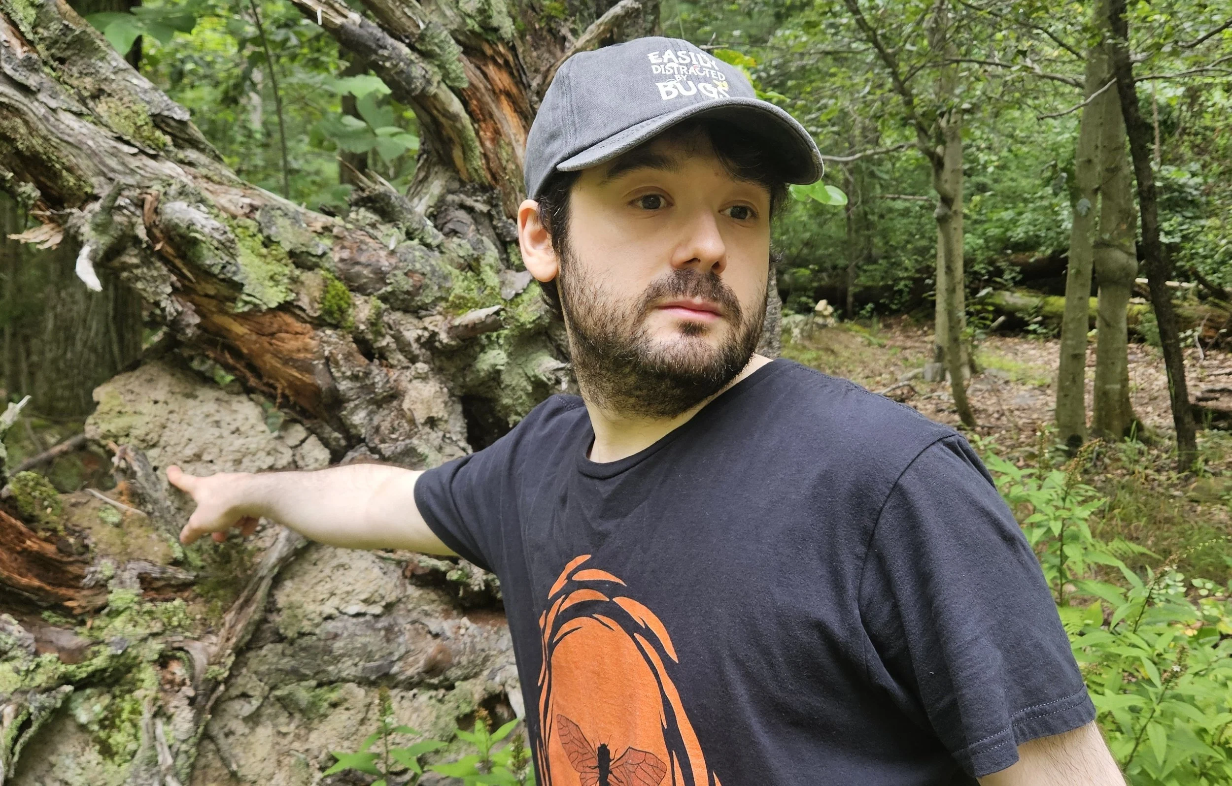 Walk with Nature- “Log Dwellers” the Insect Communities that Live In and Under Logs