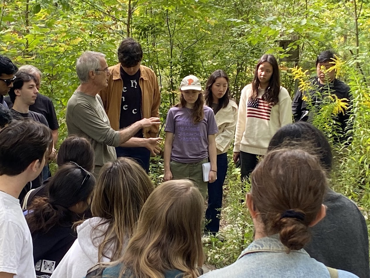 Nature Walk - Trees and Seeds
