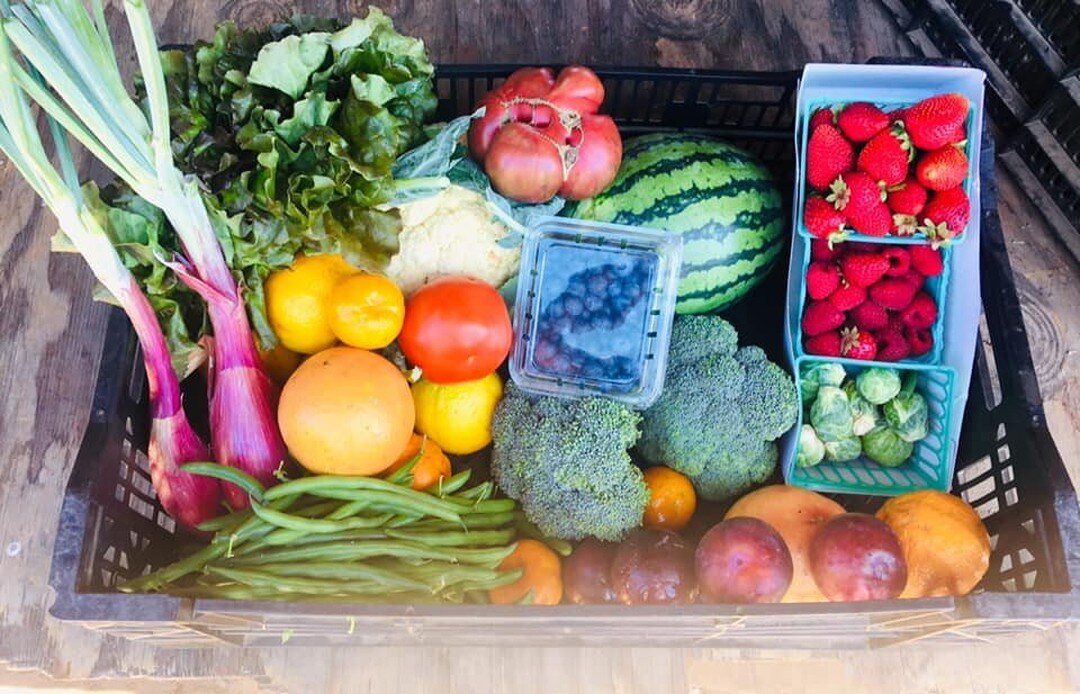 Murdock PTA has partnered with @yasukochifamilyfarms to offer fresh produce boxes delivered to the school. You can pick from a Strawberry Trio ($13), Regular Produce Box ($29) or Jumbo Produce Box ($39). 

A portion of all purchases comes back to the