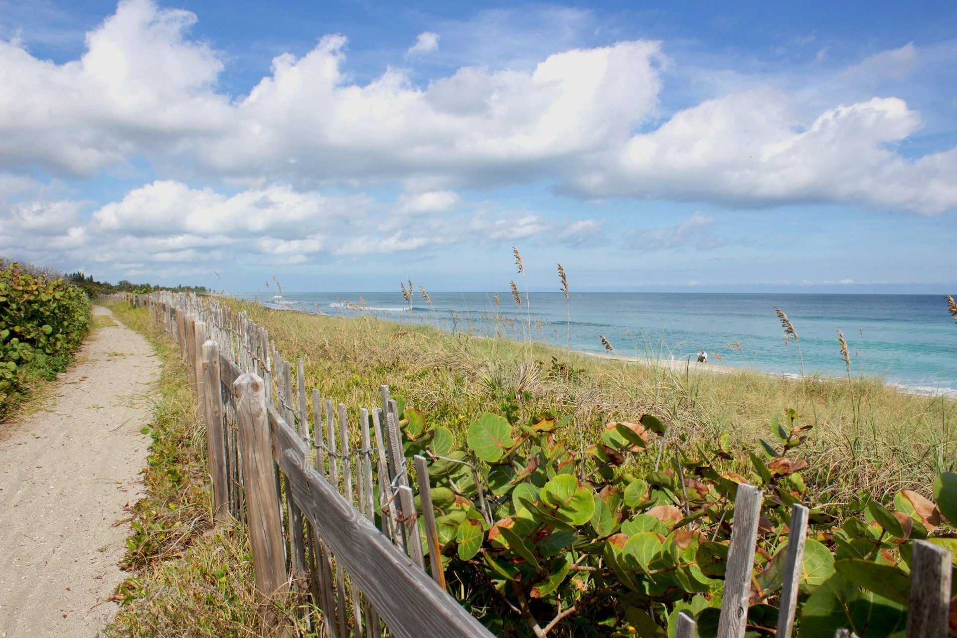 Florida’s Hidden Film Location You Haven’t Considered Yet