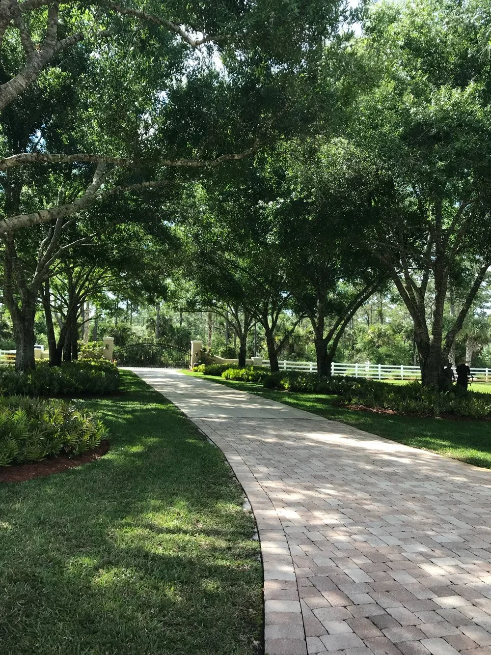 South Florida acreage film location.webp