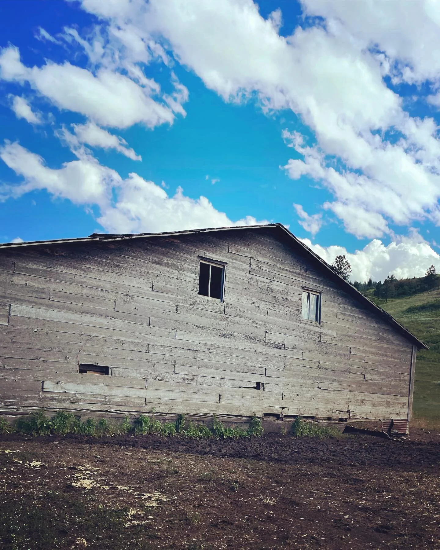 #todaysrobot has been hiding out for a long time&hellip;
#sterlingranchmt #historicbuildings