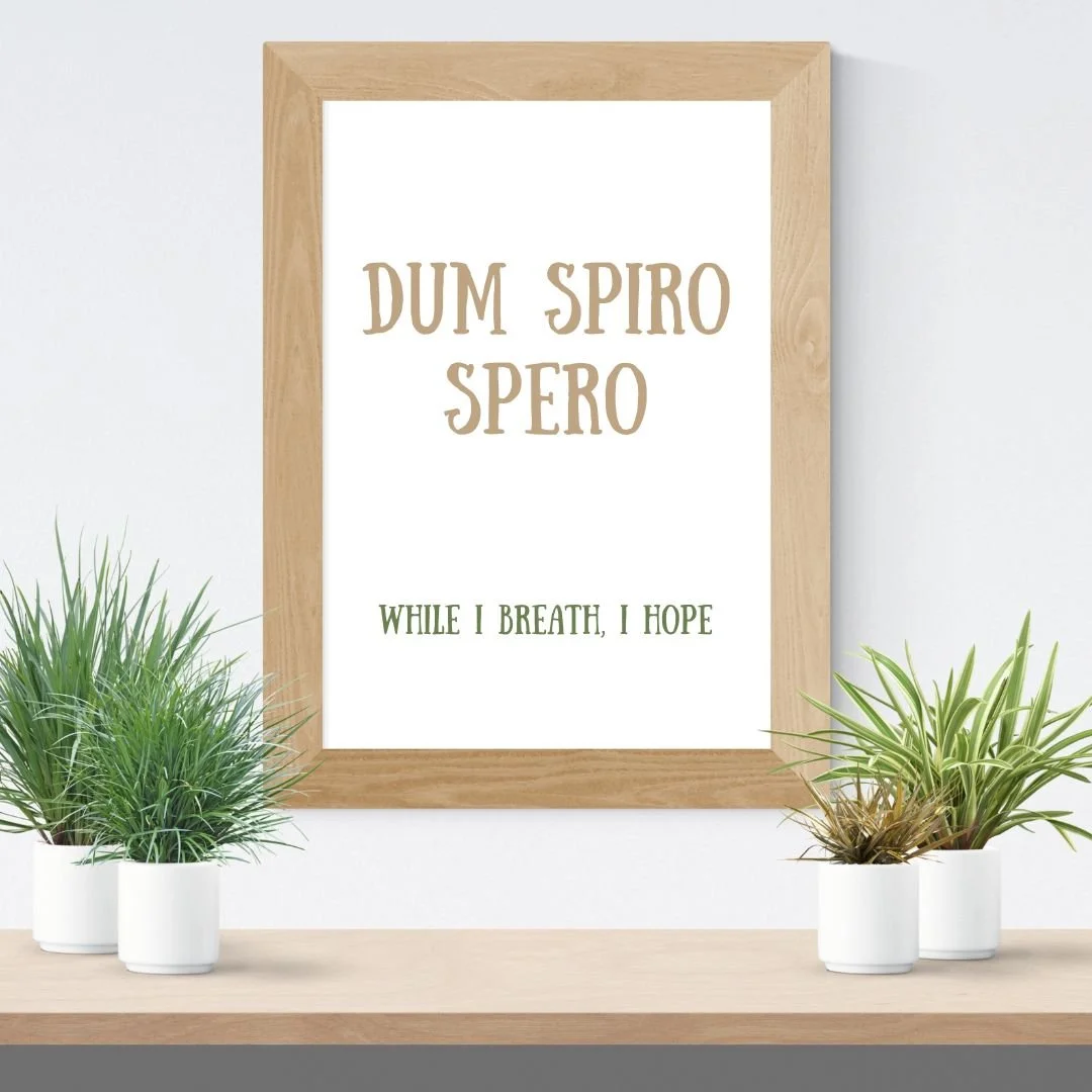 Dum spiro spero