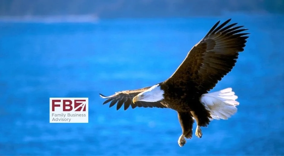 O onima koji žele letjeti s orlovima, osnivačima obiteljskih kompanija