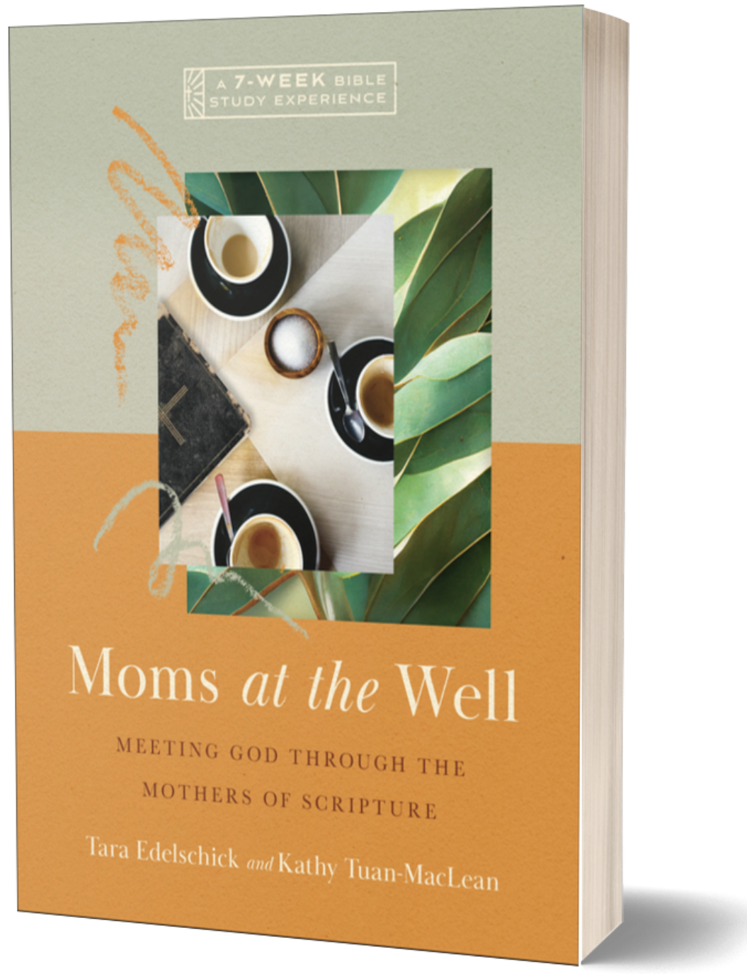 Book cover for "Moms at the Well" a 7-week Bible study experience by Tara Edelschick and Kathy Tuan-MacLean.