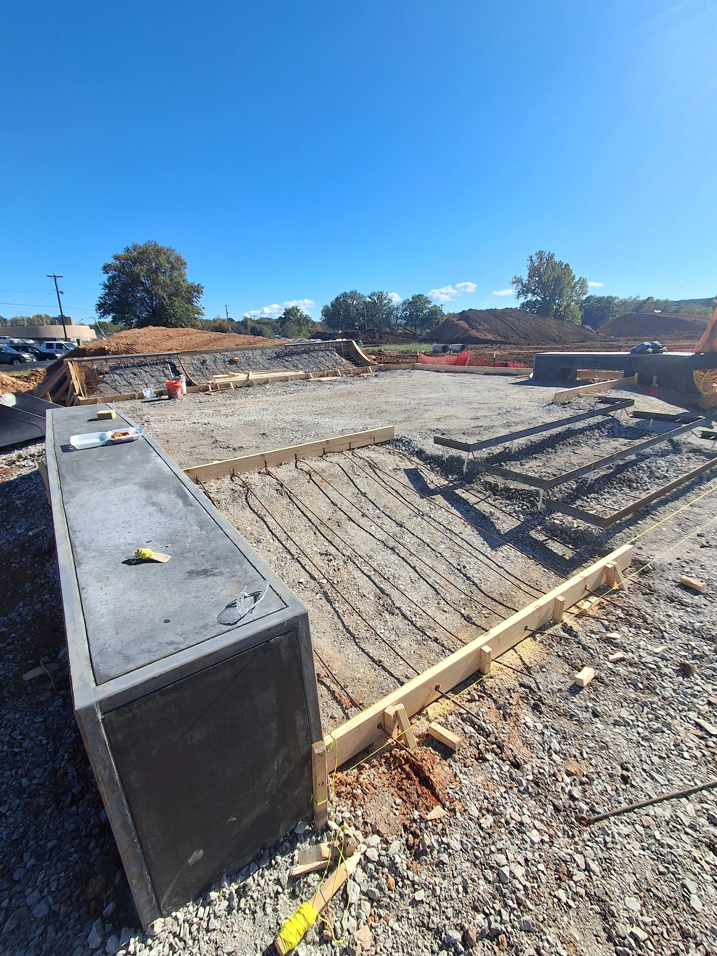 ledge bank w coping n wood.jpg