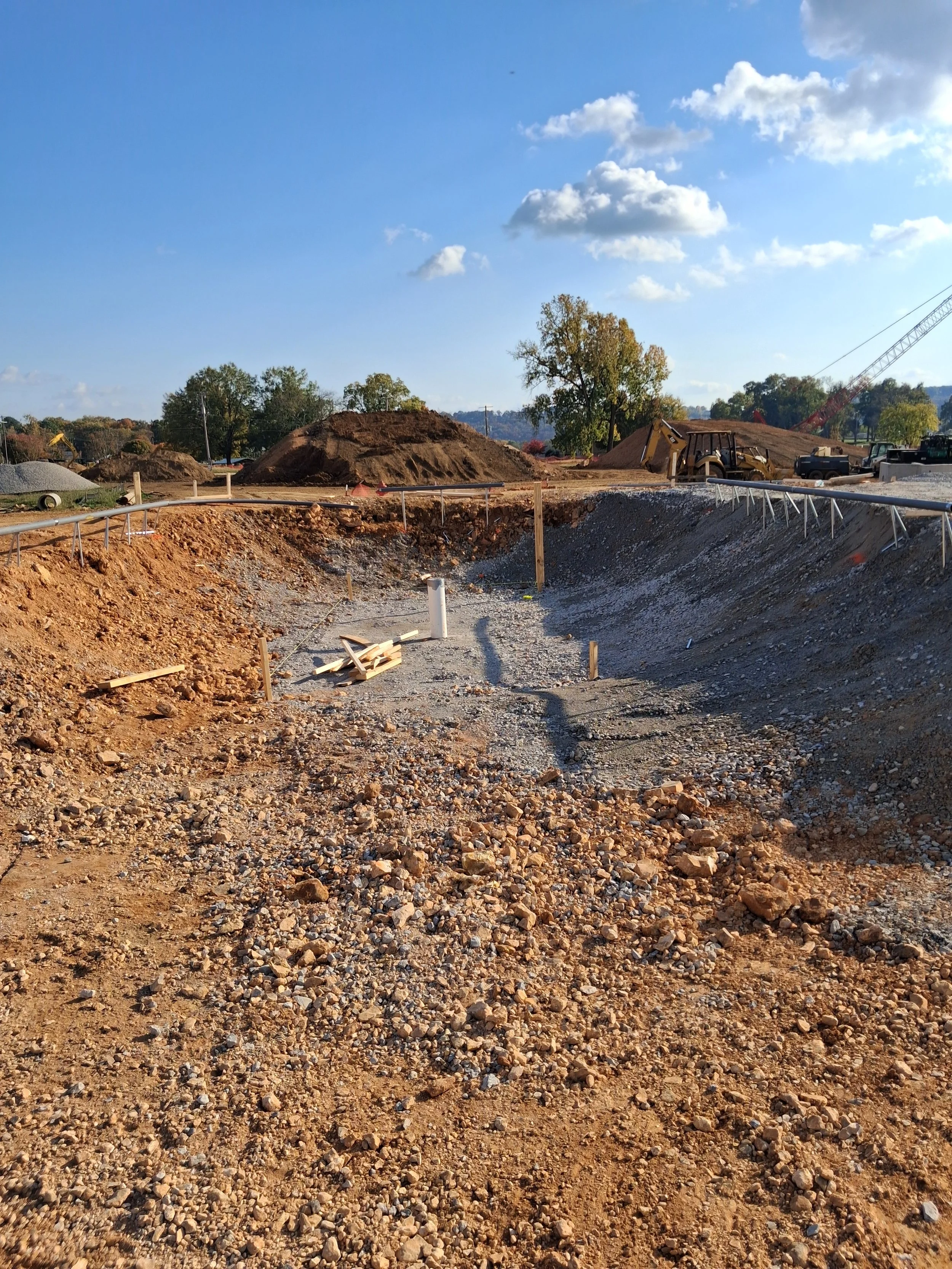 bowl dug w coping and drain.jpg