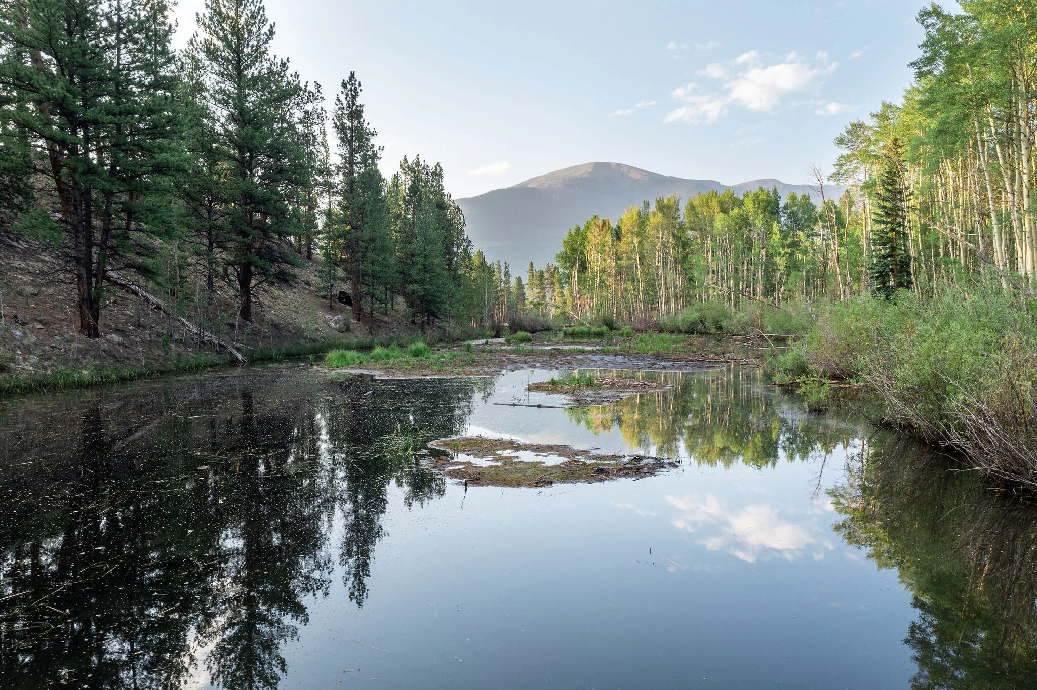 Page 11 | Angel View Images - Free Download on Freepik