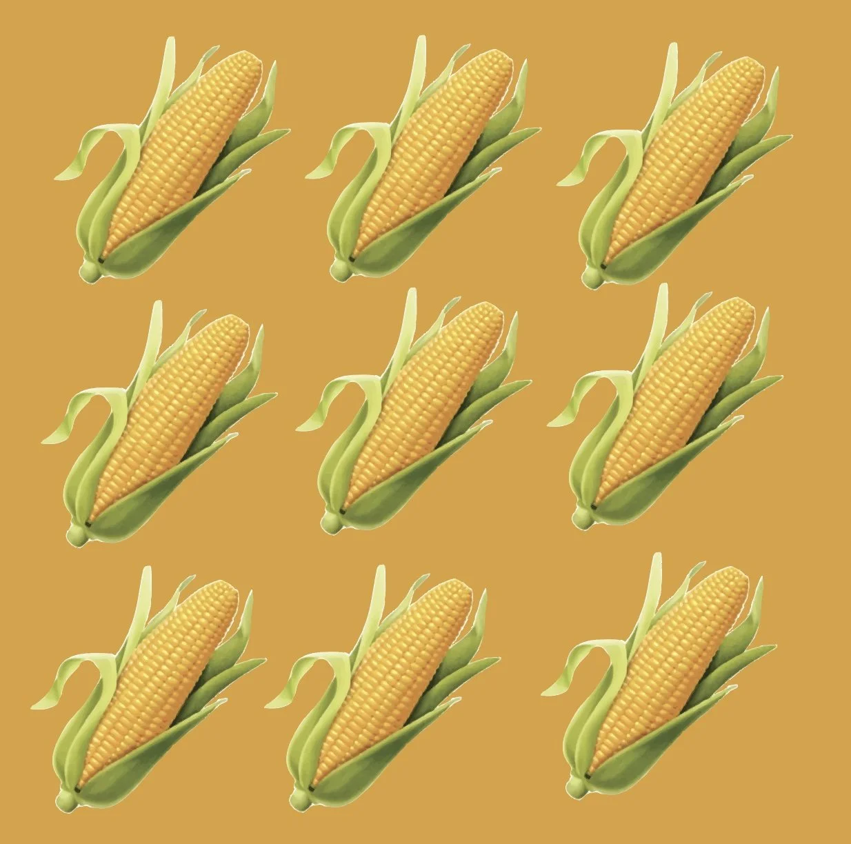 CORN ROAST