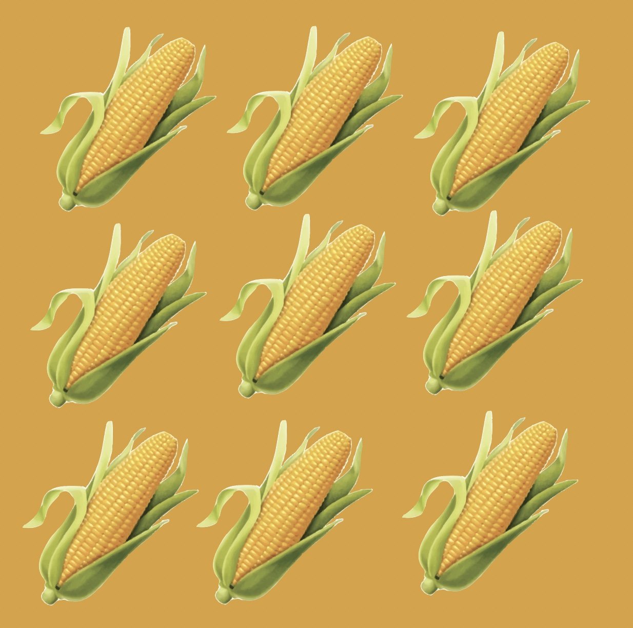 CORN ROAST - September 5th 2026