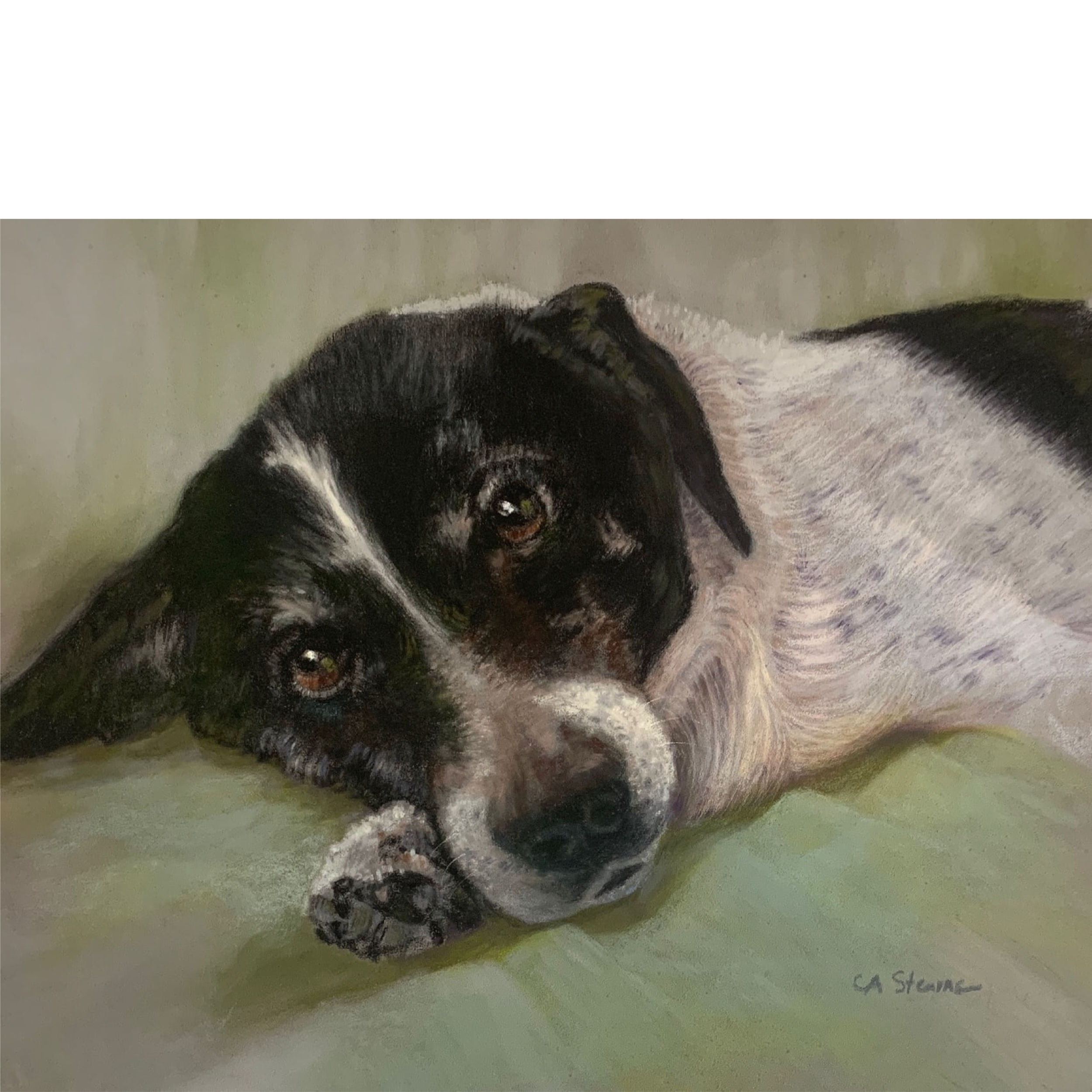 Tucker