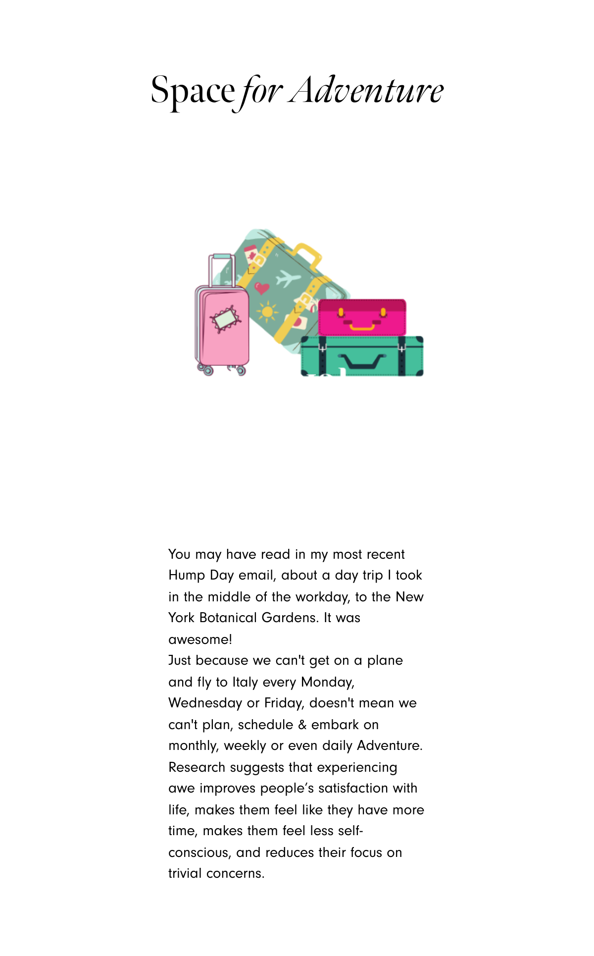 unnamed-20 copy.png
