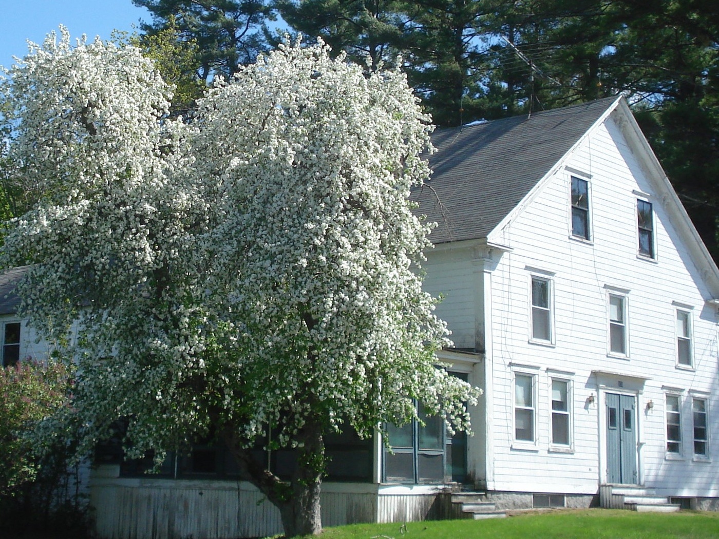 Historic Preservation Gains Support at 2019 Town Meetings