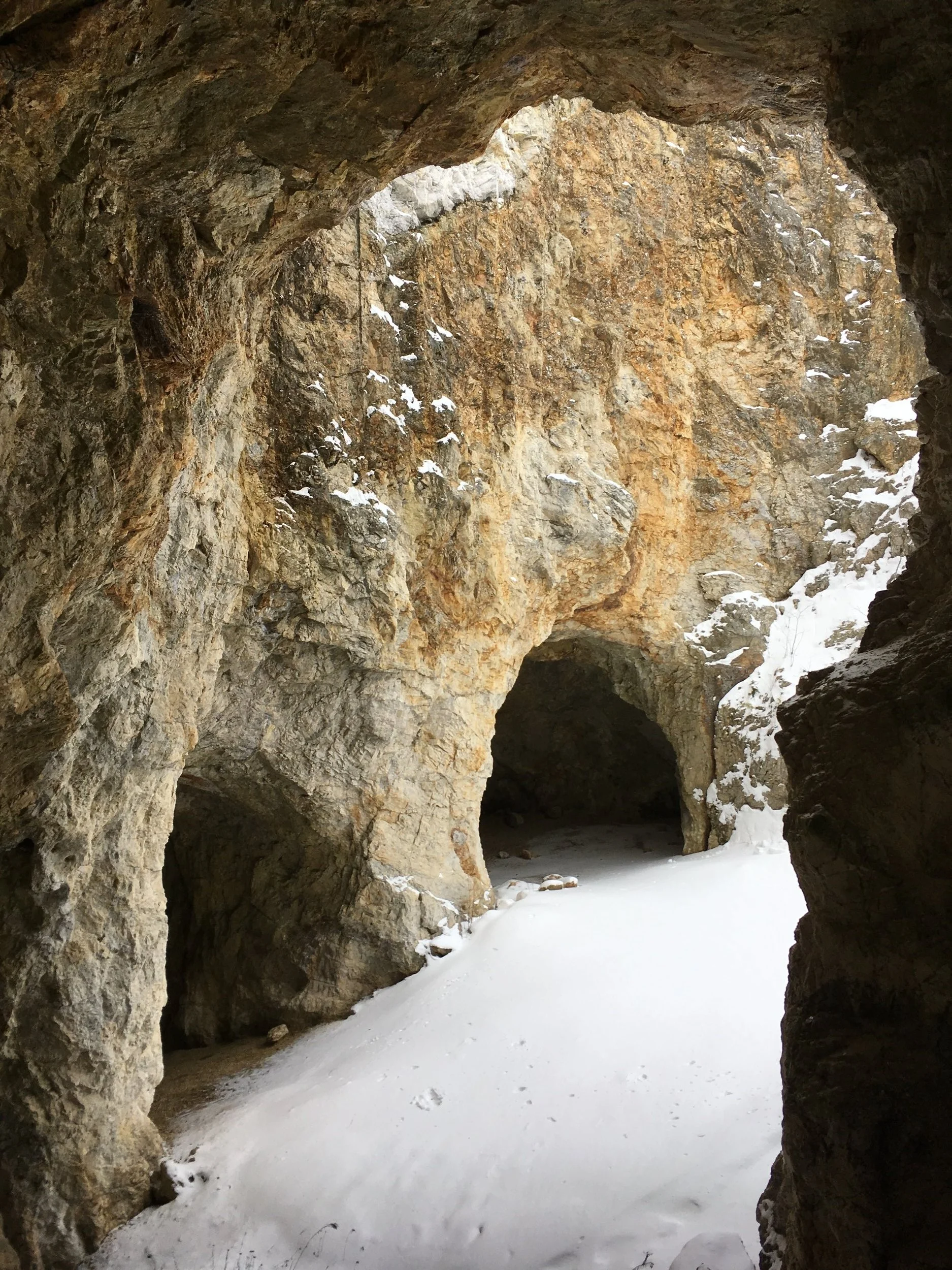 Ruggles Mine: Seven to Save Profile