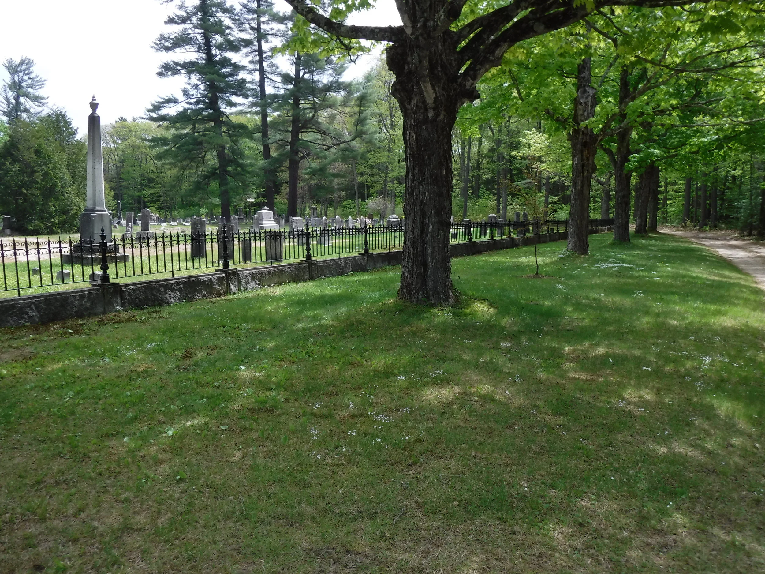 2018 Preservation Achievement Award: Trinity Churchyard Cemetery Fence