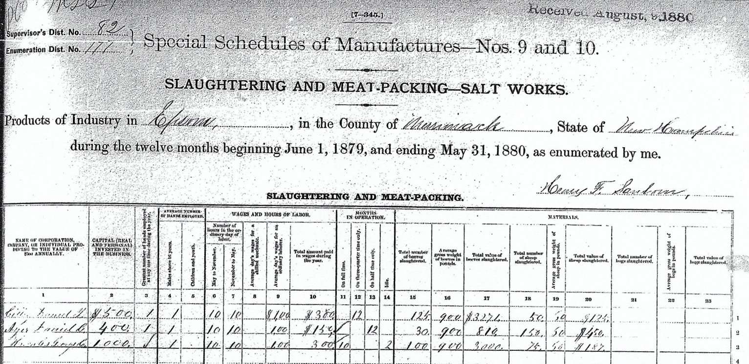  Epsom Industrial Census, 1880 