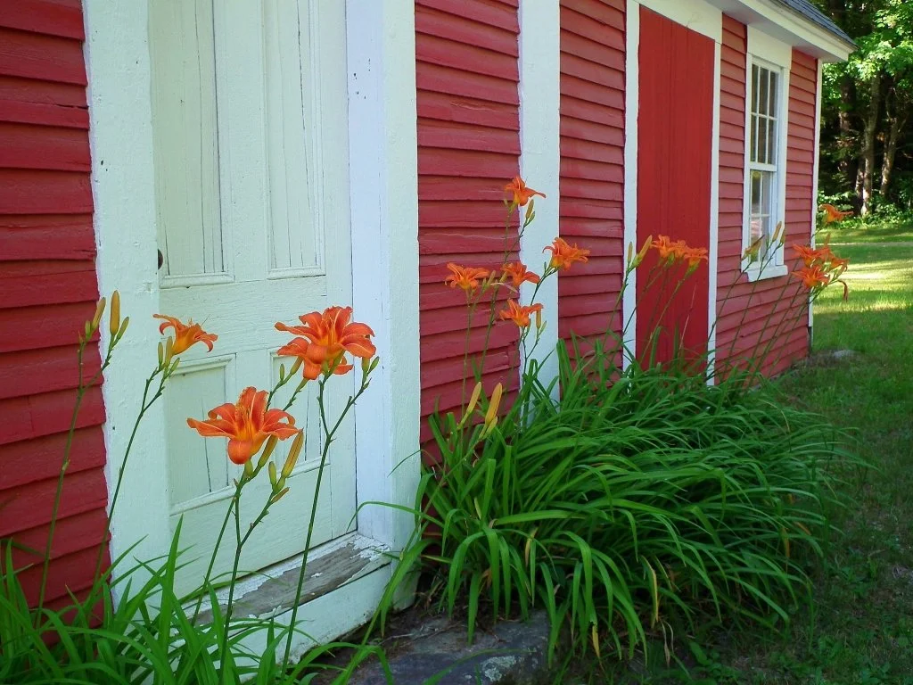 What's New for Old Houses