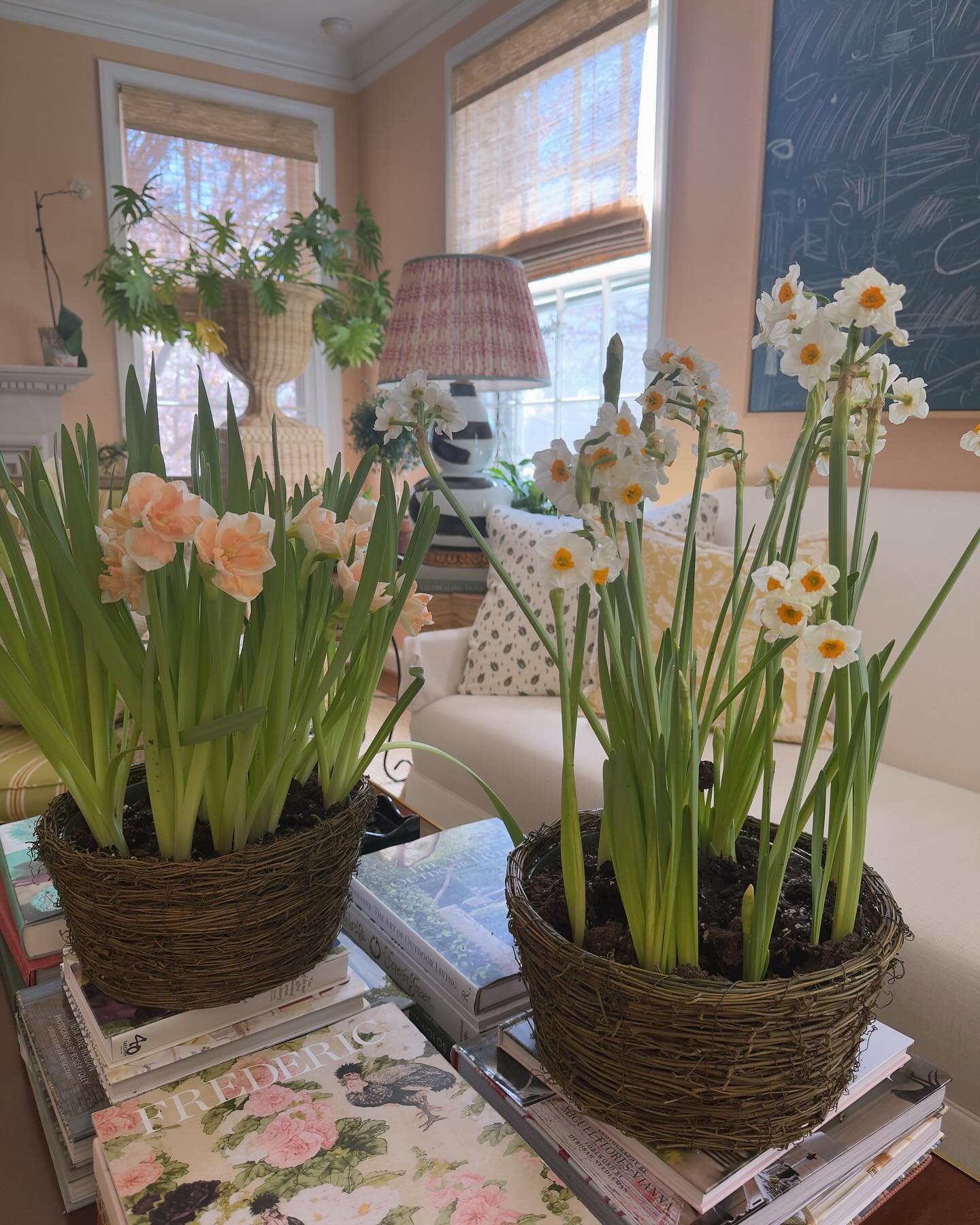 april things in may! 🌼🌿 #betterlatethannever