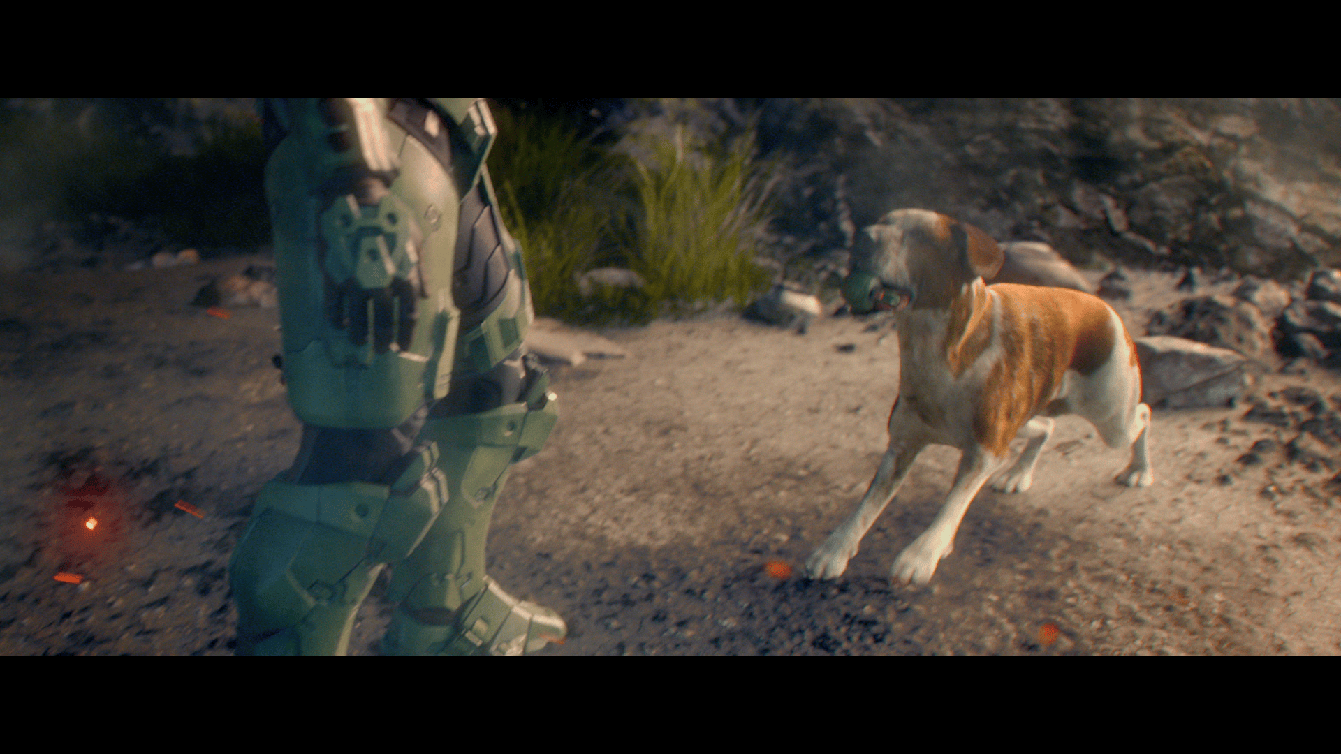 Microsoft Holiday 2020, Find Your Joy