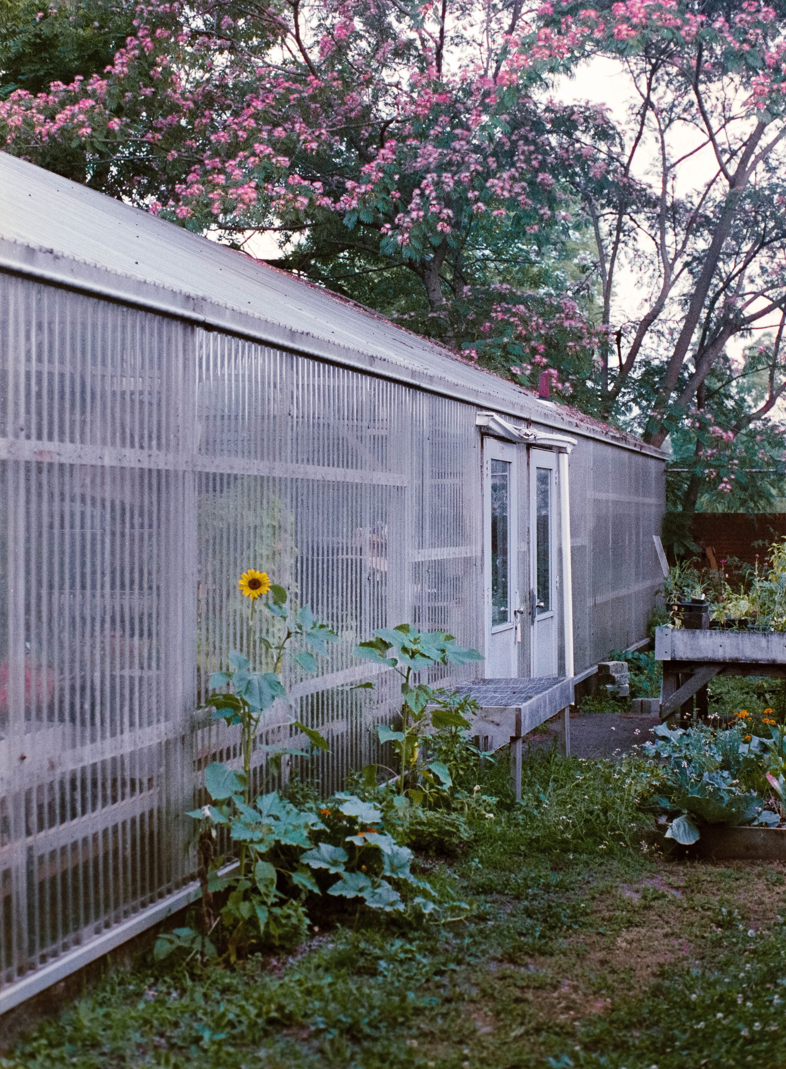 Spring House.jpg