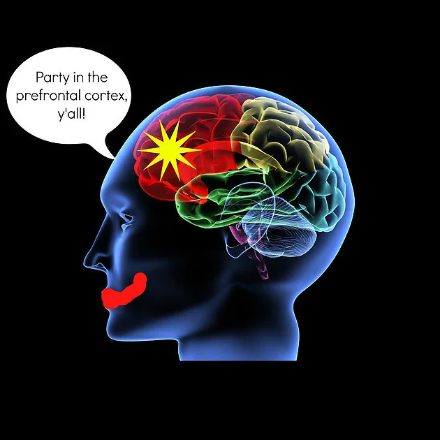 Jupiter, Fourth house, Happiness and the Pre-frontal Cortex