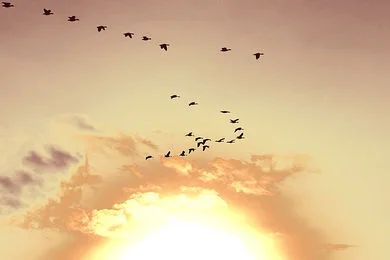 Prison of the Past: Compassion of the Present