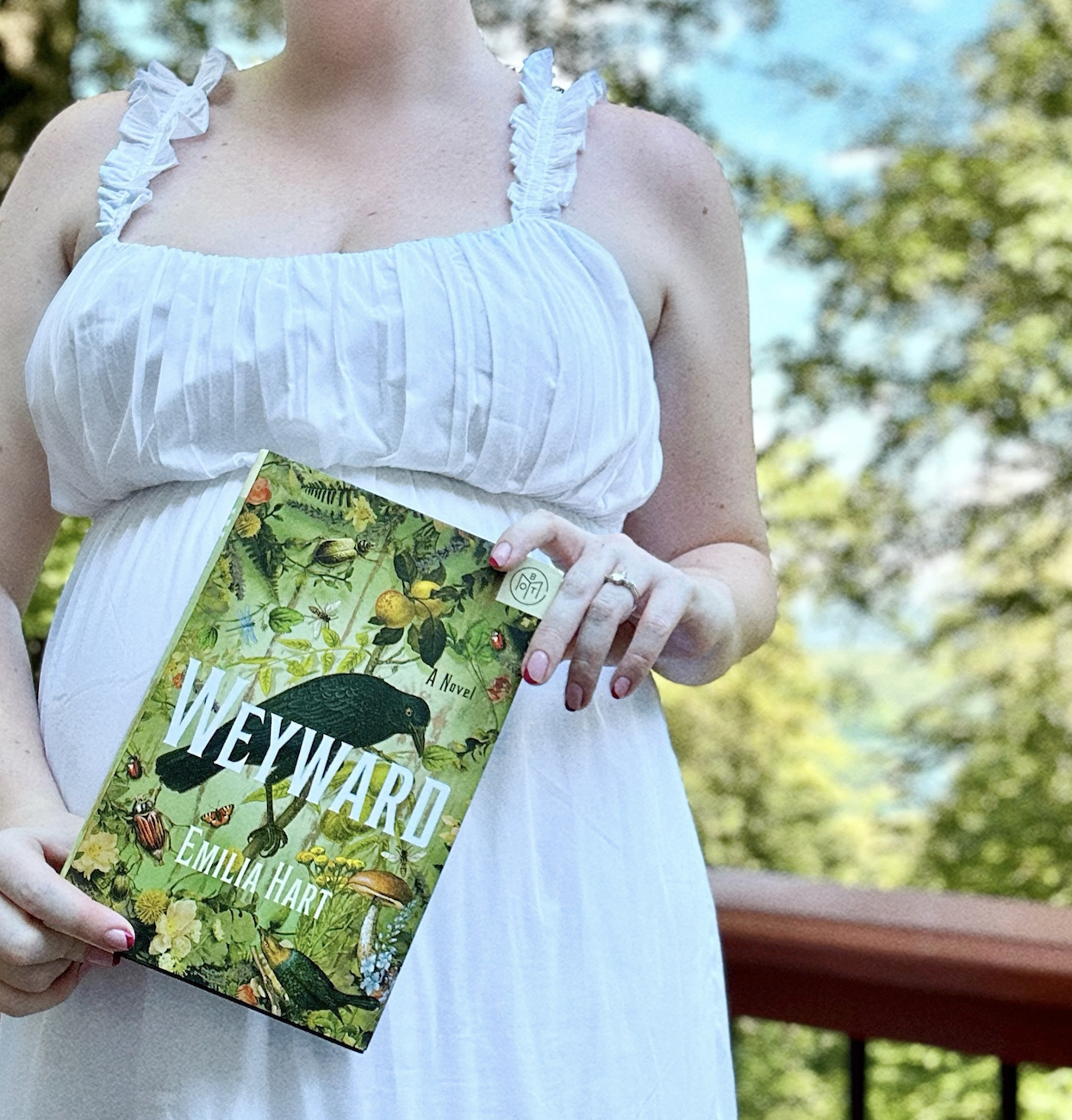 Book Review ‘Weyward’ by Emilia Hart — What Is Quinn