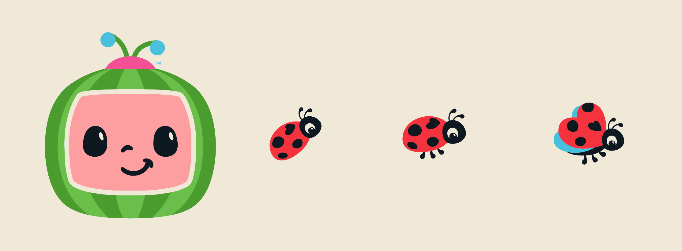 CCM BUG.png