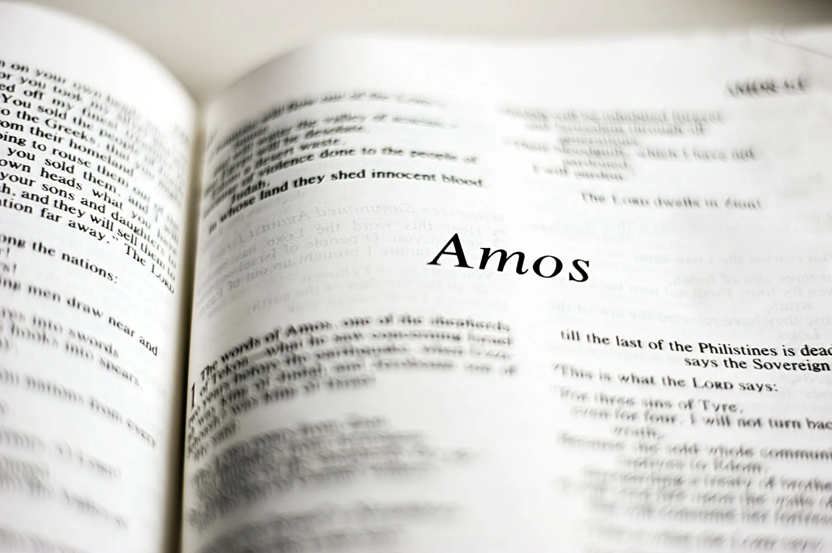 Open book with the word 'Amos' in the center of the page.