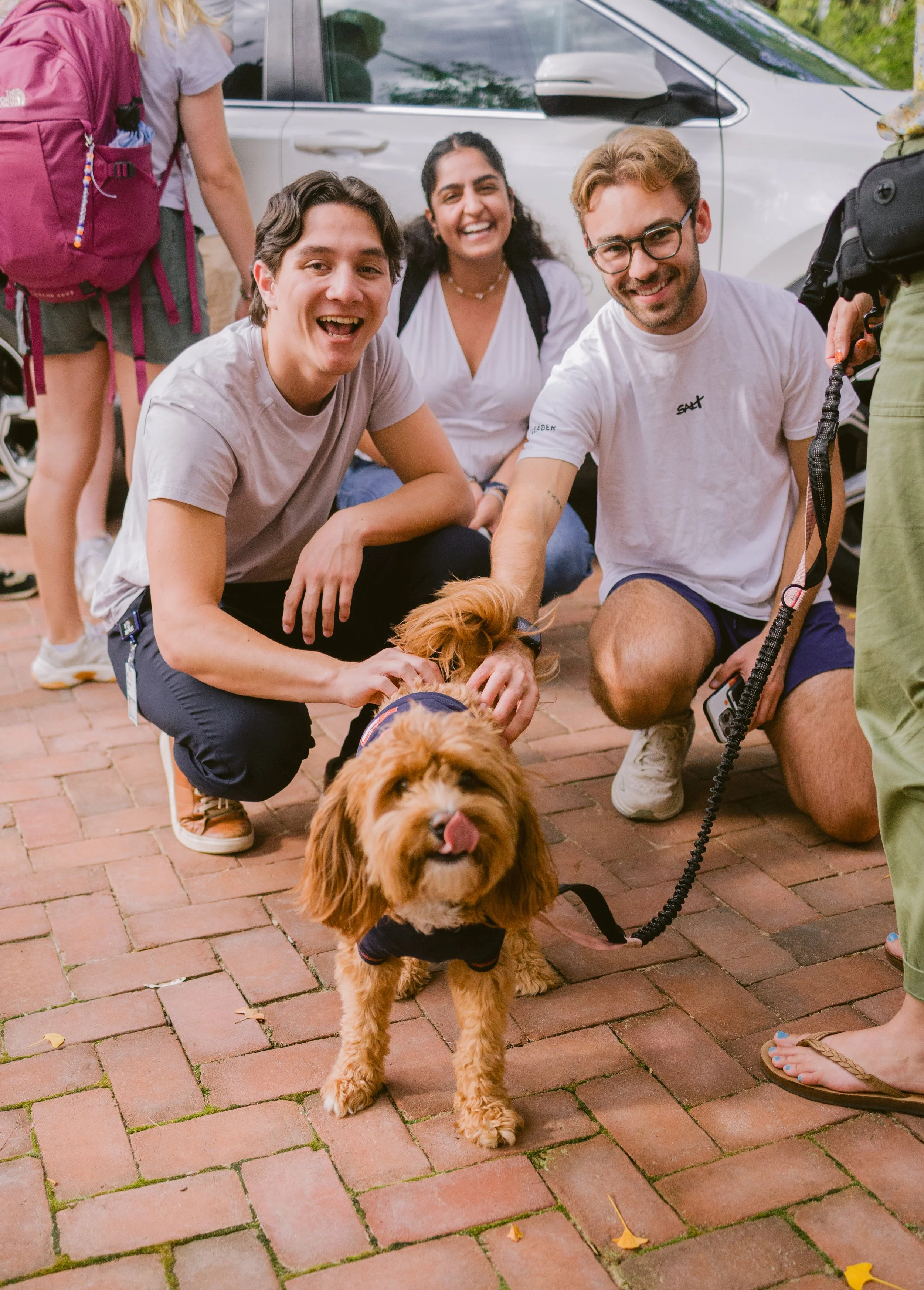 Three young adults and a dog on a brick sidewalk. The two men are squatting, smiling at the camera, while the woman behind them is smiling broadly. The dog, a small furry breed, is wearing a harness, standing on the sidewalk, and licking its nose.